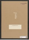 Rhaphoneis angustata Pant. (de-Toni-Nr.: Genus 78, Species 2830) Zeichnungen Sammlung Grunow Nr. 5788 (NHMW-BOT-W0374191)